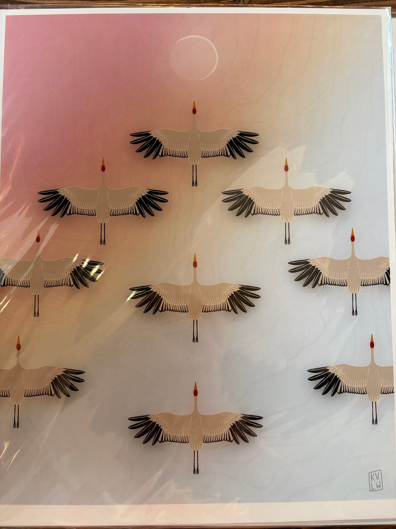 Seed Pod Design - 11x14 - Standard Print - Perseverance