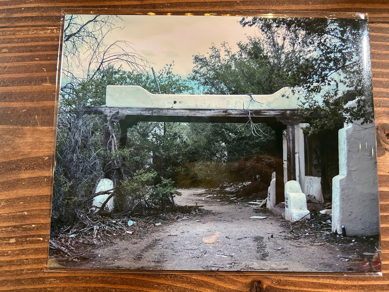 Abandoned building overgrown with trees and underbrush on a wooden surface