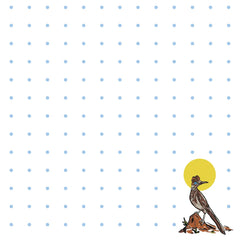 Roadrunner Notepad