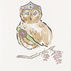Nicky Ovitt - Greeting Card -Owl