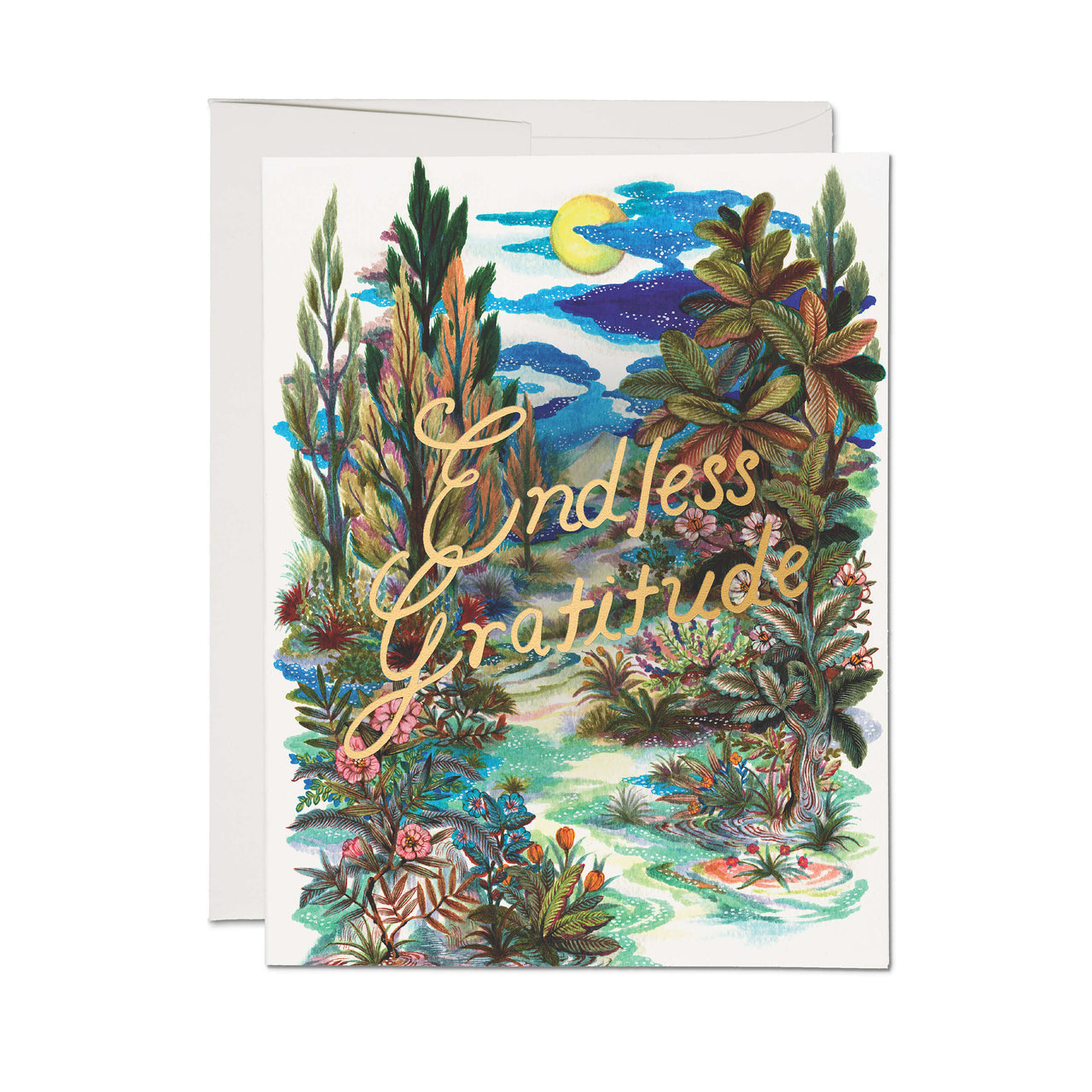 Endless Gratitude Thank You Greeting Card : Single