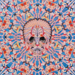 Patrick Turk - Unframed Blotter Art Print - "Reincarnating No. 1"