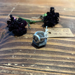 Will Platoro - Silver Ring - Cactus