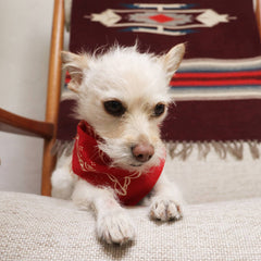 Dixon Bandana (Red)