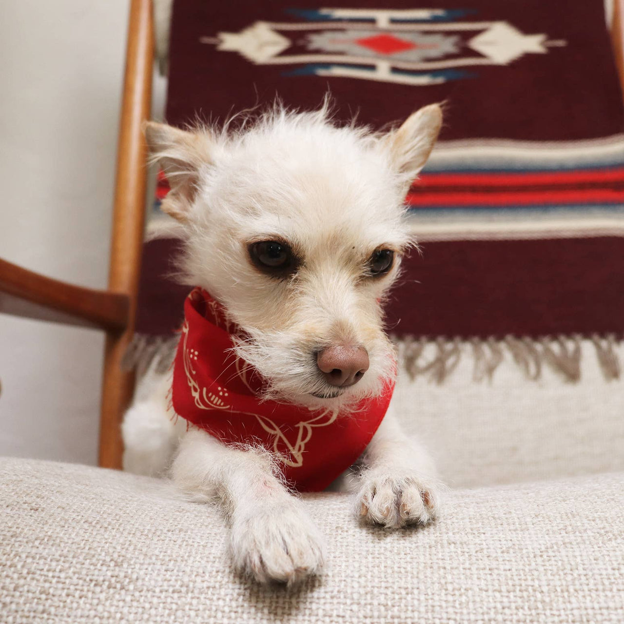 Dixon Bandana (Red)