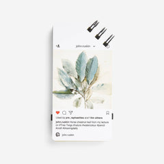 Phone Detox, Offline Activity Tool