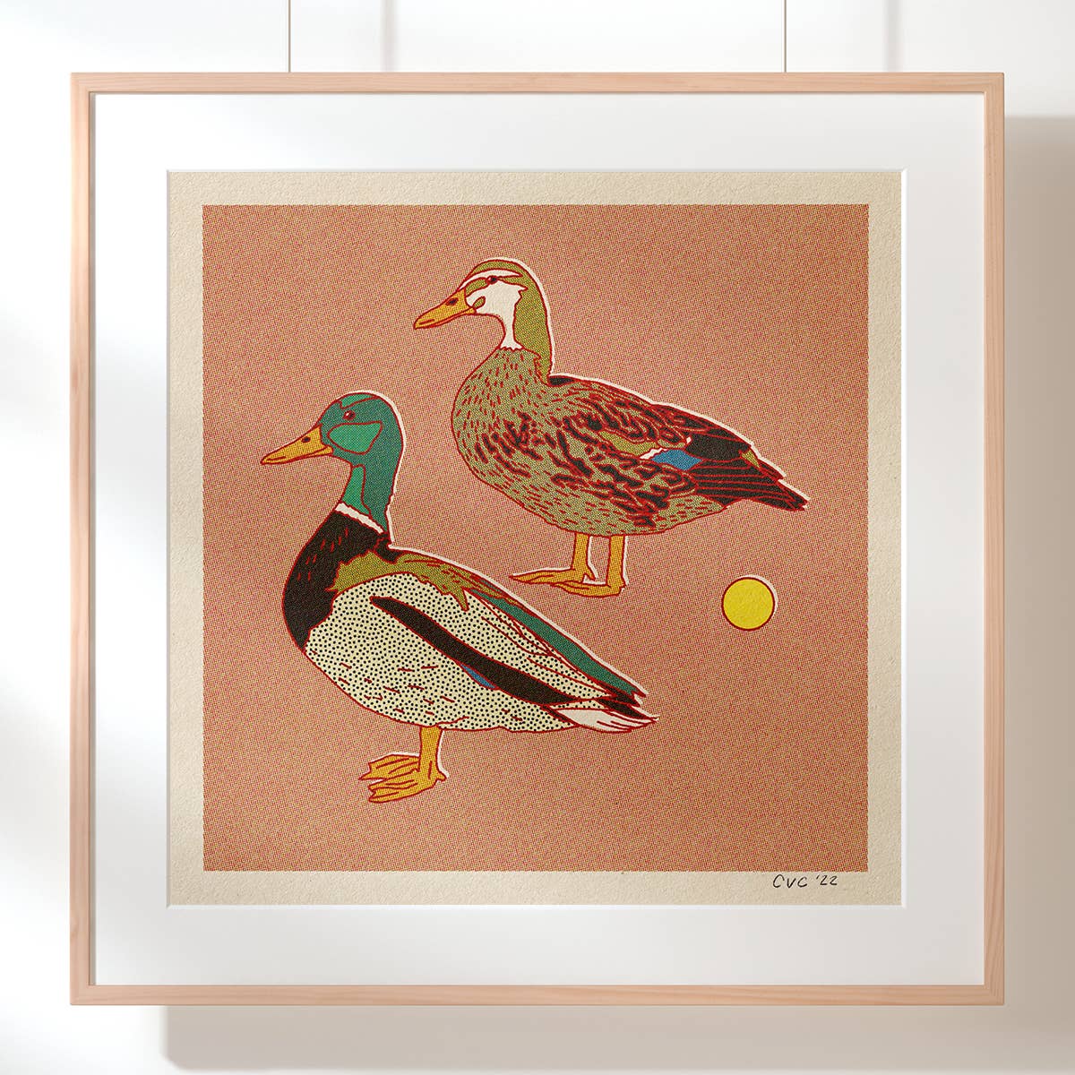 Caroline Clark - Mallard Ducks Print (12" x 12")
