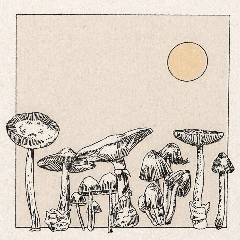 Real Fun, Wow! - Print - Mushroom Garden