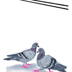 Pigeons! 'Little Jotter' Notepad 