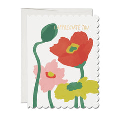 Scalloped Poppy thank you greeting card: Singles