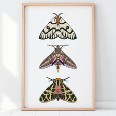 Caroline Clark - Three Moths Print (11" x 17")