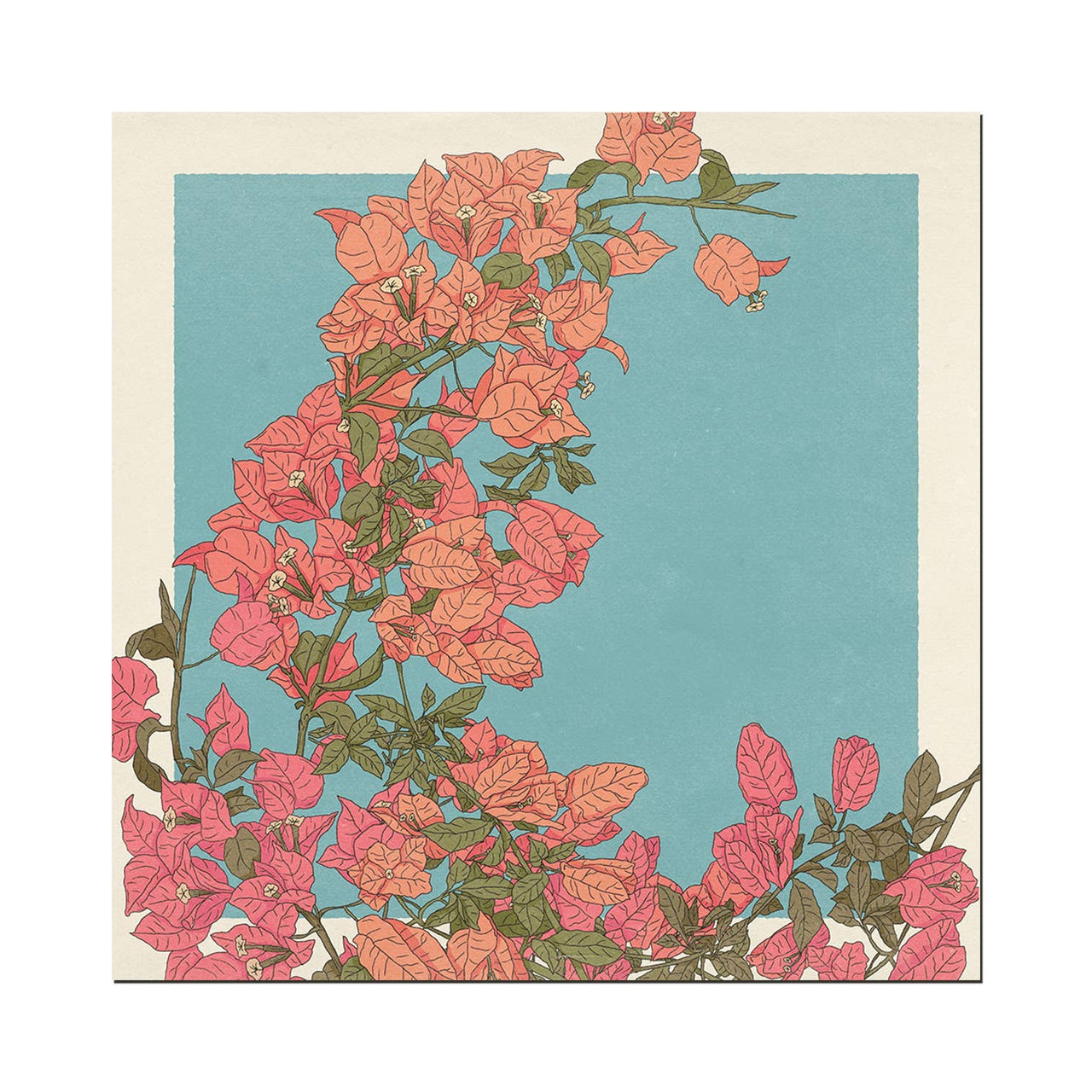 Cai & Jo - Bougainvillea Print (12" x 12")