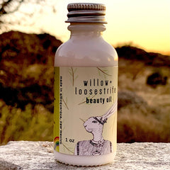 Dryland Wilds - Willow Beauty Oil (1 oz)