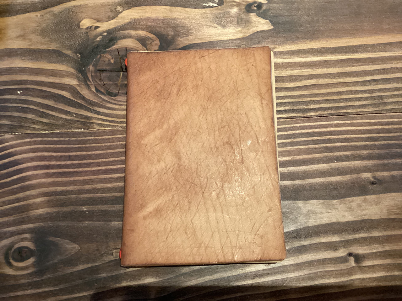 Trashwood - Leather Blank Notebook (Large)