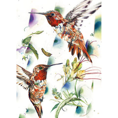 Travis Bruce Black - Two Hummingbirds (Rufous Hums) Greeting Card