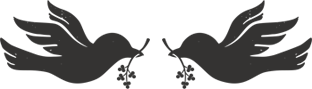 twin birds